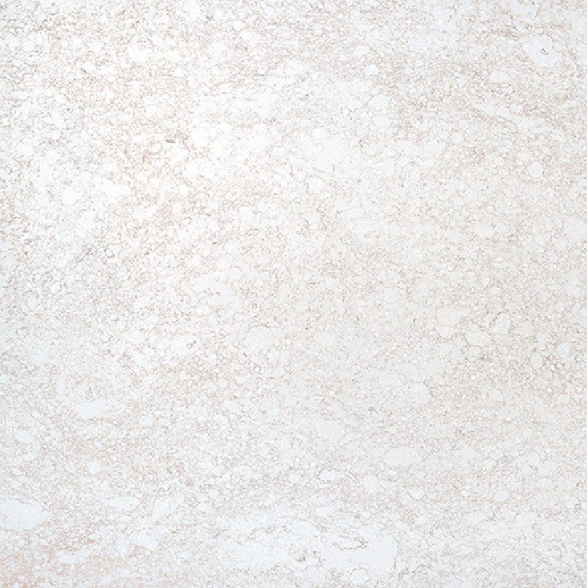 MOPH 1120-04