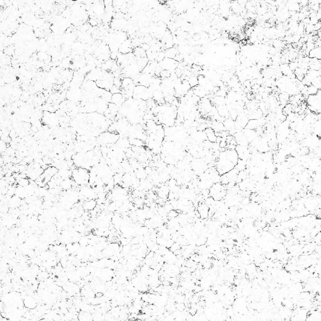 MOPH2172 Everest White
