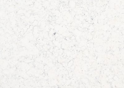 Blizzard White