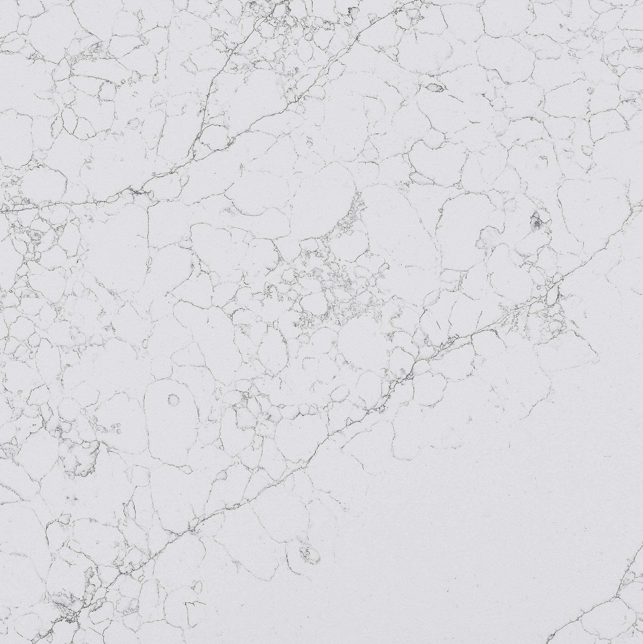Opalus-New-04