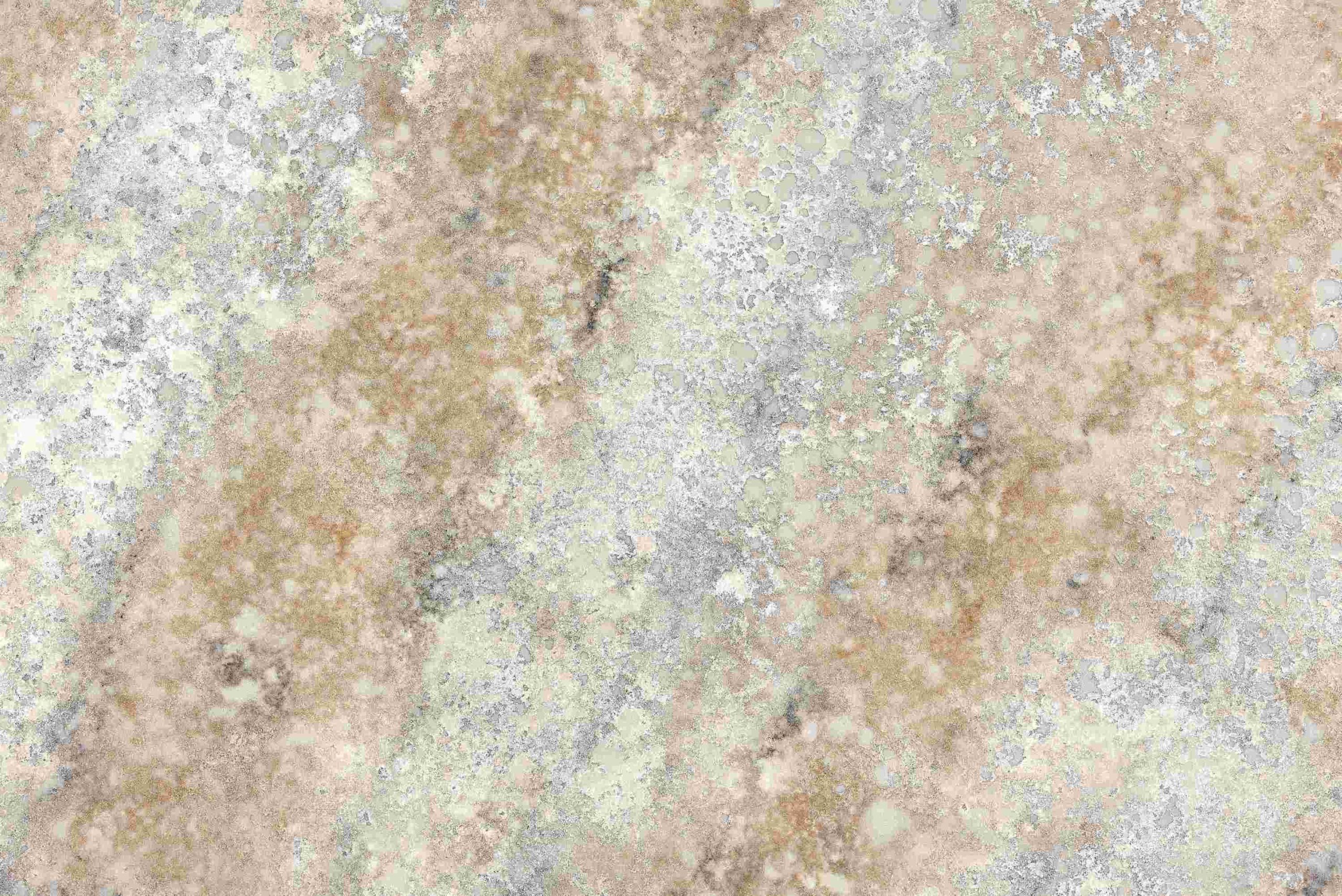 MOPH2205C Rainbow close up2